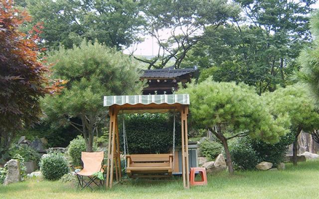 소나무 정원 잔디밭의 차양 그네